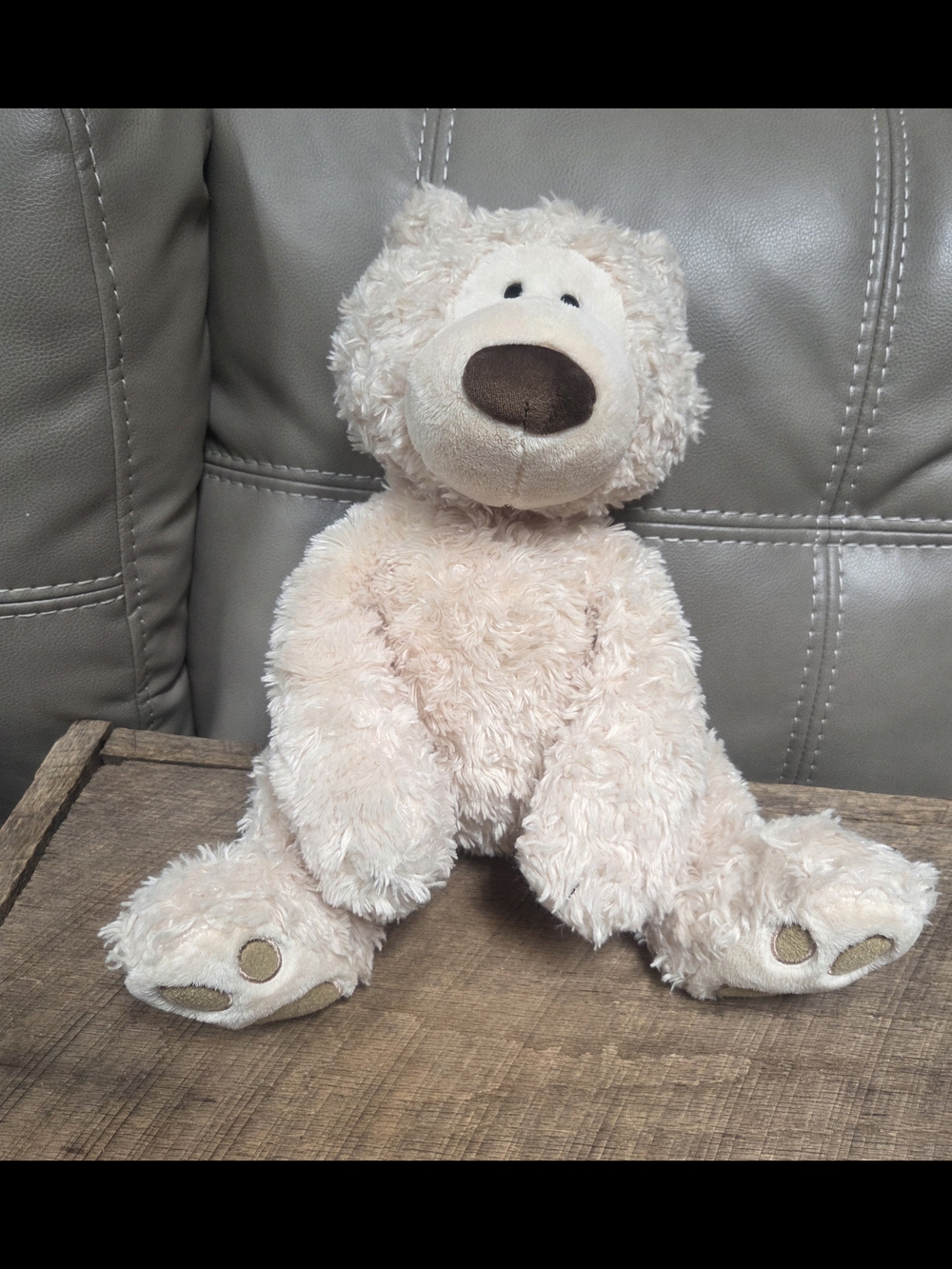 GUND Philbin 18"  Teddy Bear Plush Beige Stuffed Animal Soft Cuddle BIN PP